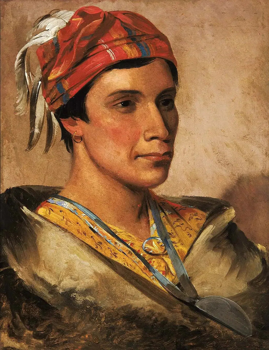 Pijn, stamhoofd - George Catlin

Source:
Pain, chef de la tribu - George Catlin