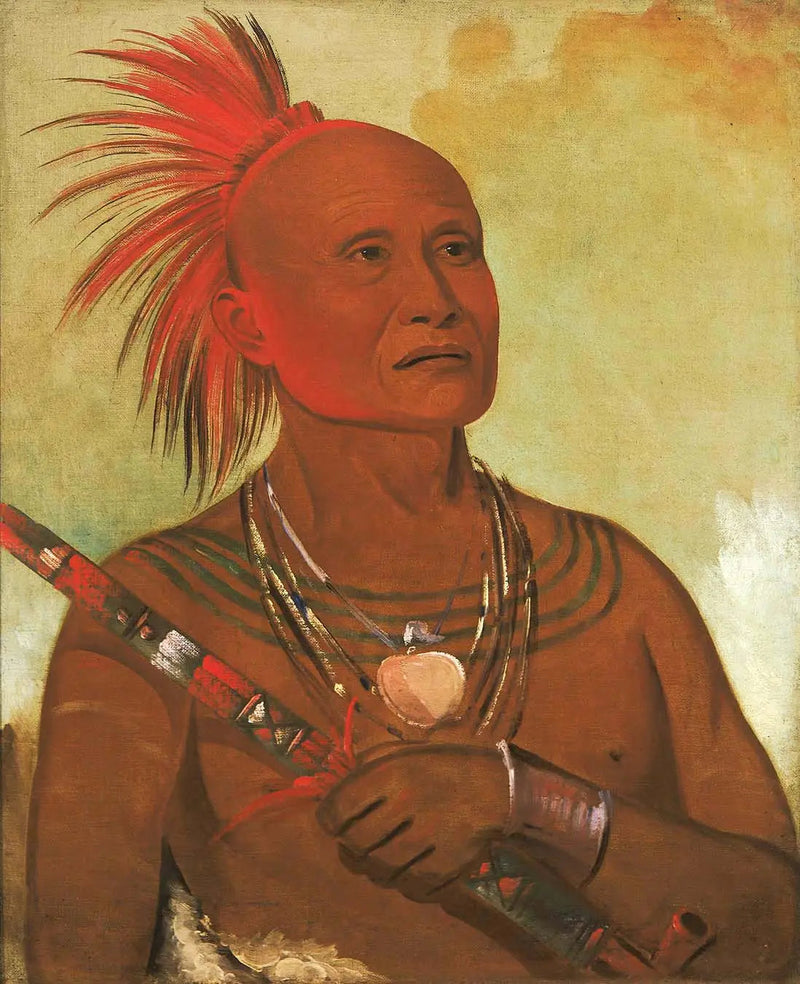 Pam-a-hó, de zwemmer, een van de krijgers van Black Hawk - George Catlin

Source:
Pam-a-hó, le nageur, l'un des guerriers de Black Hawk - George Catlin
