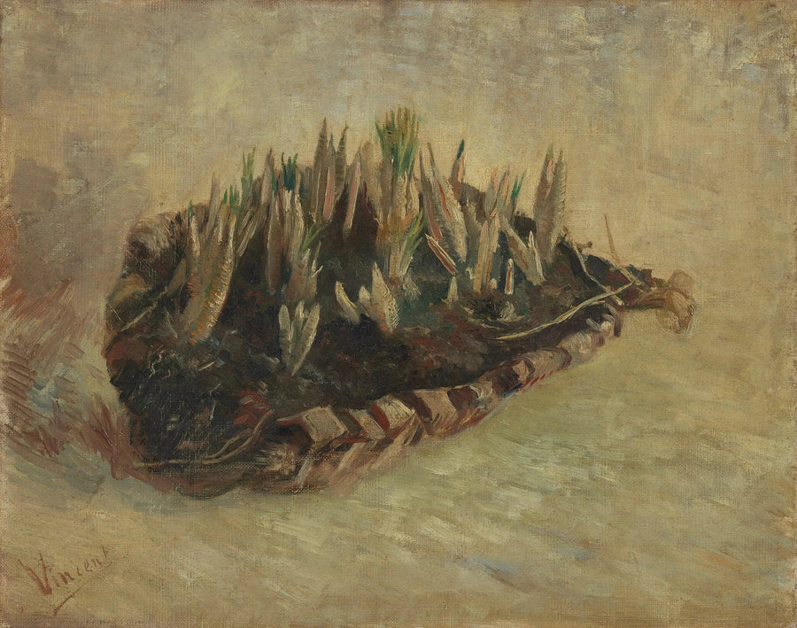 Crocusbolletjesmand - Vincent van Gogh