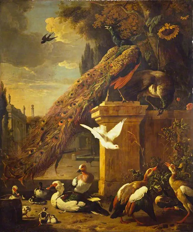 Pauw en eenden - Melchior de Hondecoeter