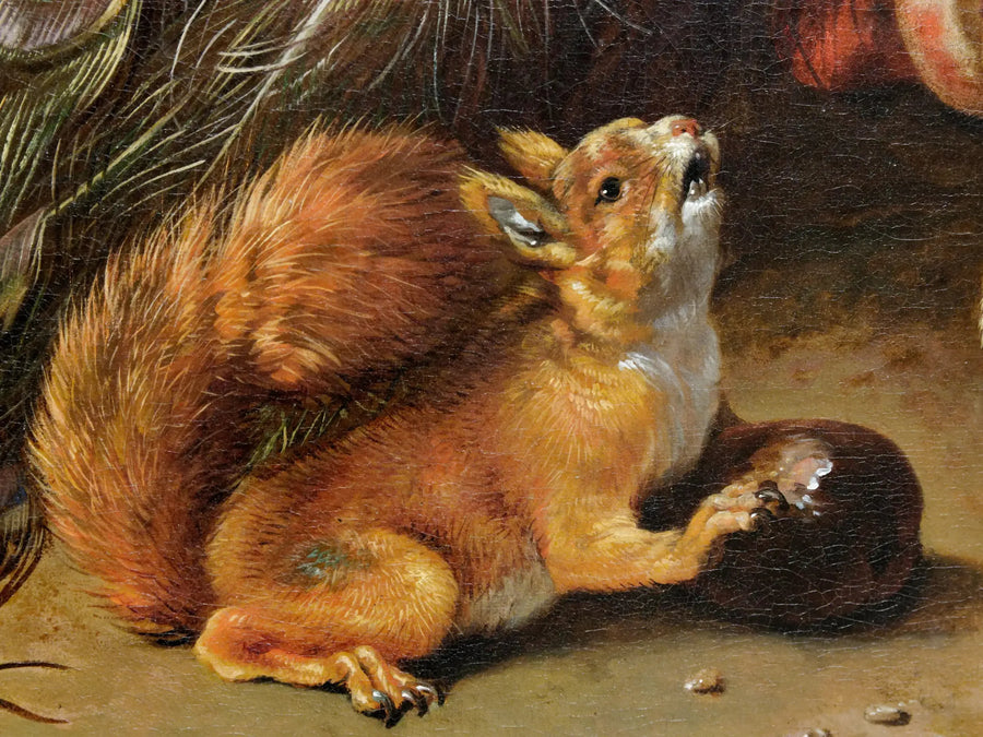  Pauwen - Melchior de Hondecoeter