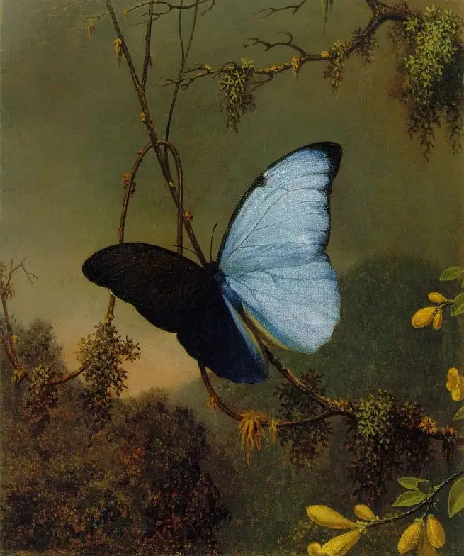 Papillon Morpho bleu - Martin Johnson Heade

Source:
Papillon Morpho bleu - Martin Johnson Heade