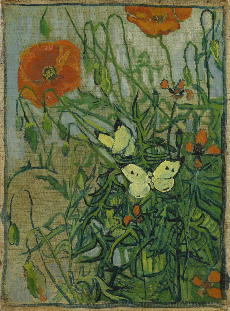Vlinders en klaprozen - Vincent van Gogh
