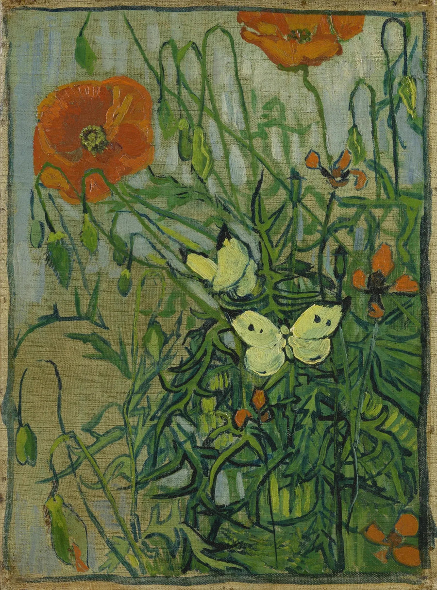 Vlinders en klaprozen - Vincent van Gogh