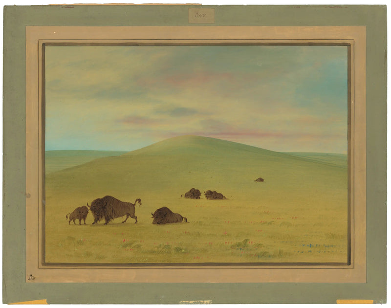 Amerikaanse weide - Prairie van de Platte - George Catlin

Source:
Pâturage américain - Prairies de la Platte - George Catlin