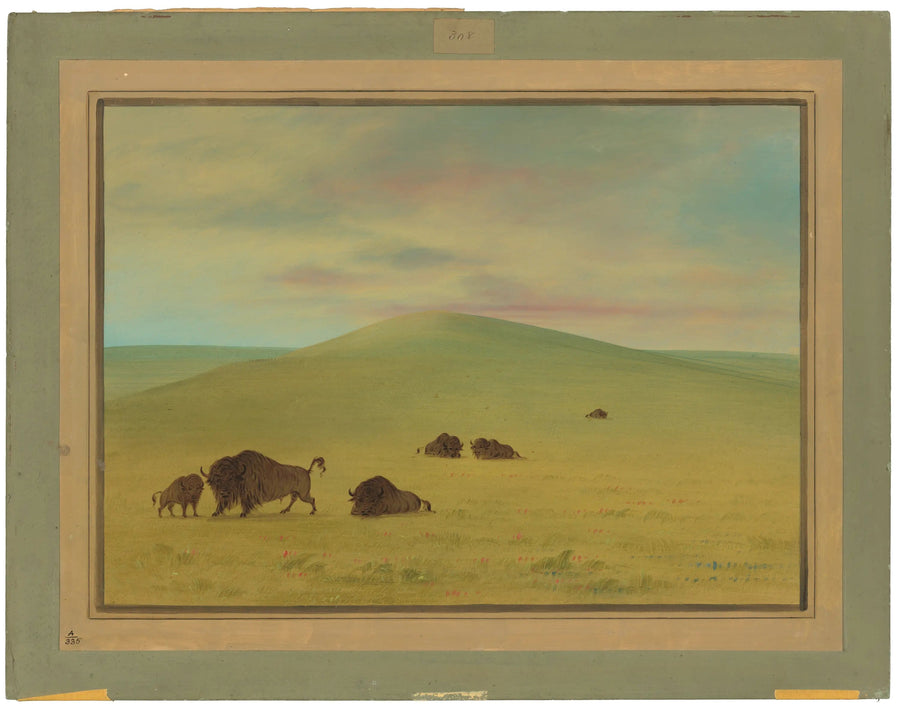 Amerikaanse weide - Prairie van de Platte - George Catlin

Source:
Pâturage américain - Prairies de la Platte - George Catlin