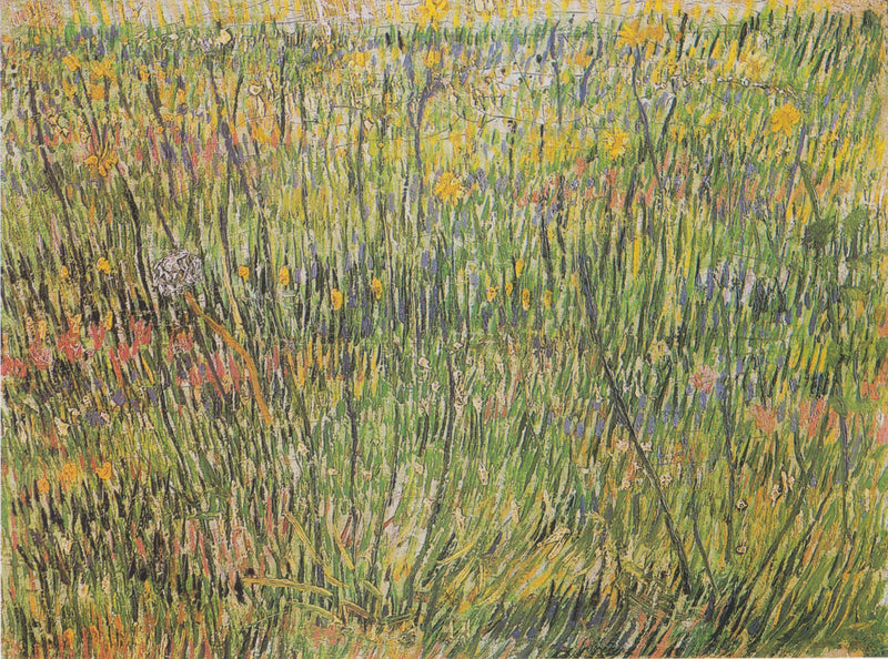 Bloeiende weide - Vincent van Gogh