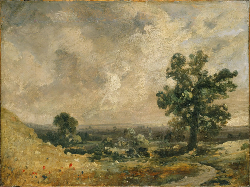 Engels landschap - John Constable
