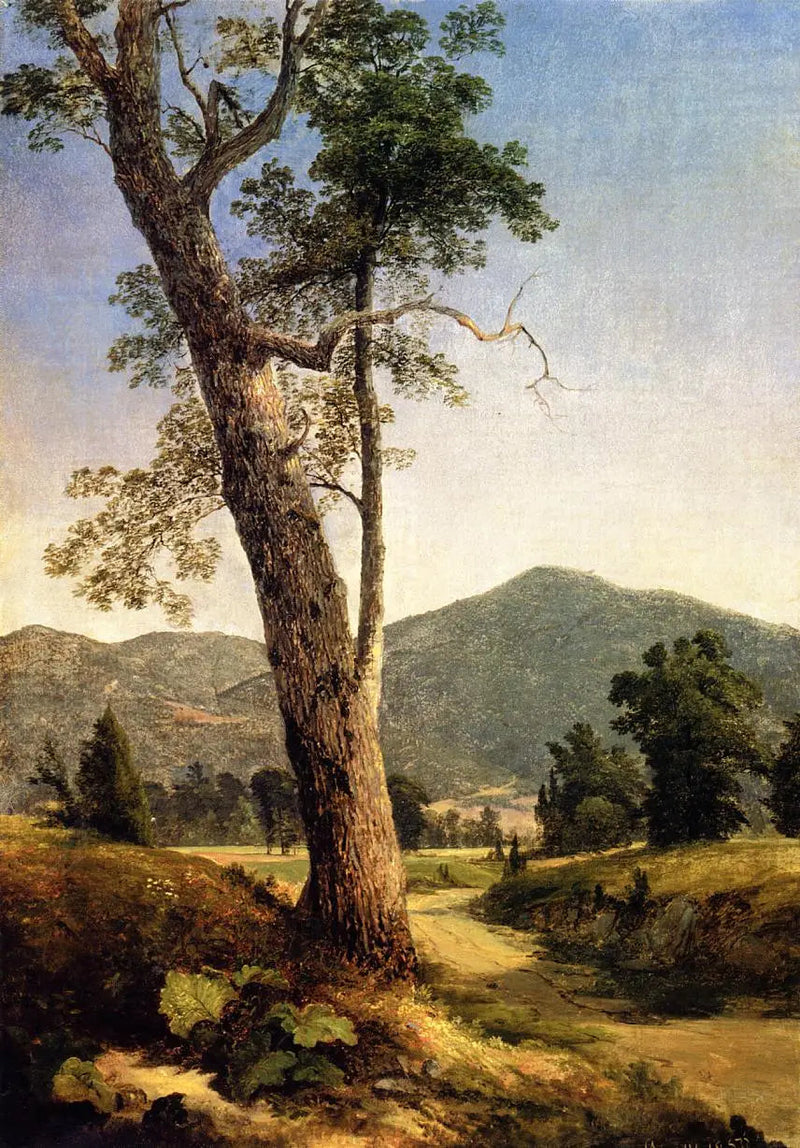Landschap achter de boom - Asher Brown Durand

Source:
Paysage au-delà de l'arbre - Asher Brown Durand