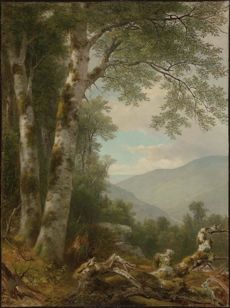 Landschap met berkenbomen - Asher Brown Durand

Source:
Paysage avec des bouleaux - Asher Brown Durand