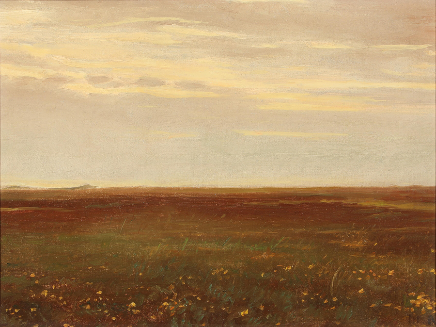 Paysage avec des fleurs sauvages. - Michael Peter Ancher
