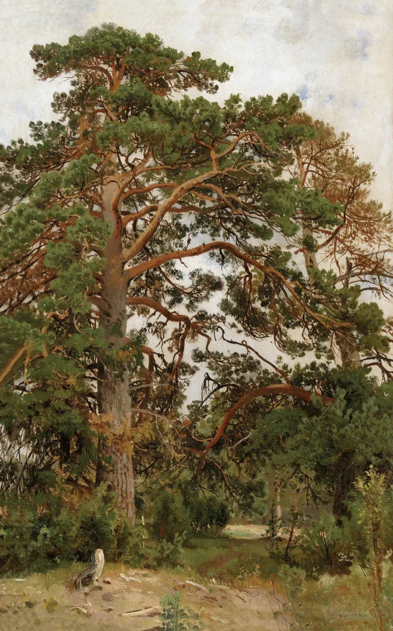 Landschap met dennenbomen - Ivan Chichkine

Source:
Paysage avec pins - Ivan Chichkine