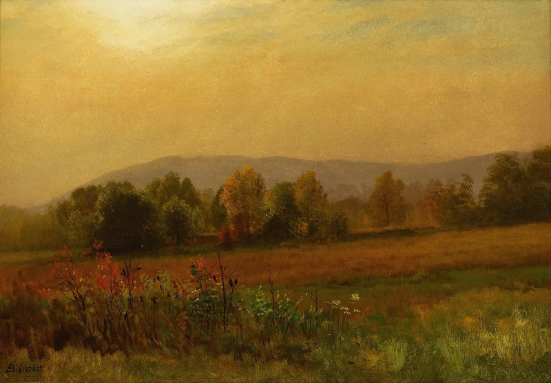 Herfstlandschap, New England - Albert Bierstadt

Source:
Paysage d'automne, Nouvelle-Angleterre - Albert Bierstadt