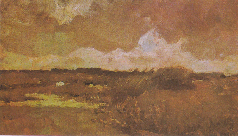 Moerassig landschap - Vincent van Gogh