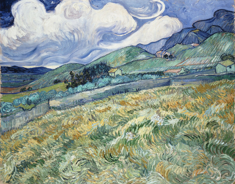 Berglandschap achter het Saint-Paul ziekenhuis - Vincent van Gogh