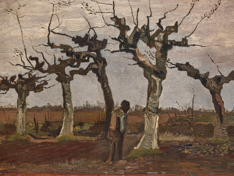 Landschap met knotwilgen - Vincent van Gogh
