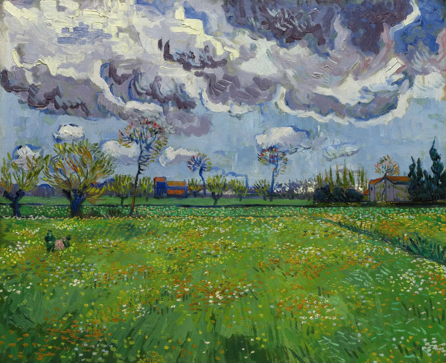 Landschap onder een bewolkte hemel - Vincent van Gogh