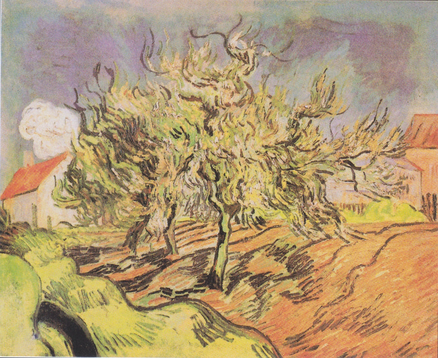Landschap met drie bomen en huizen - Vincent van Gogh