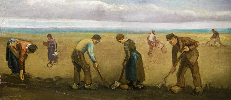 Boeren die aardappelen planten - Vincent van Gogh