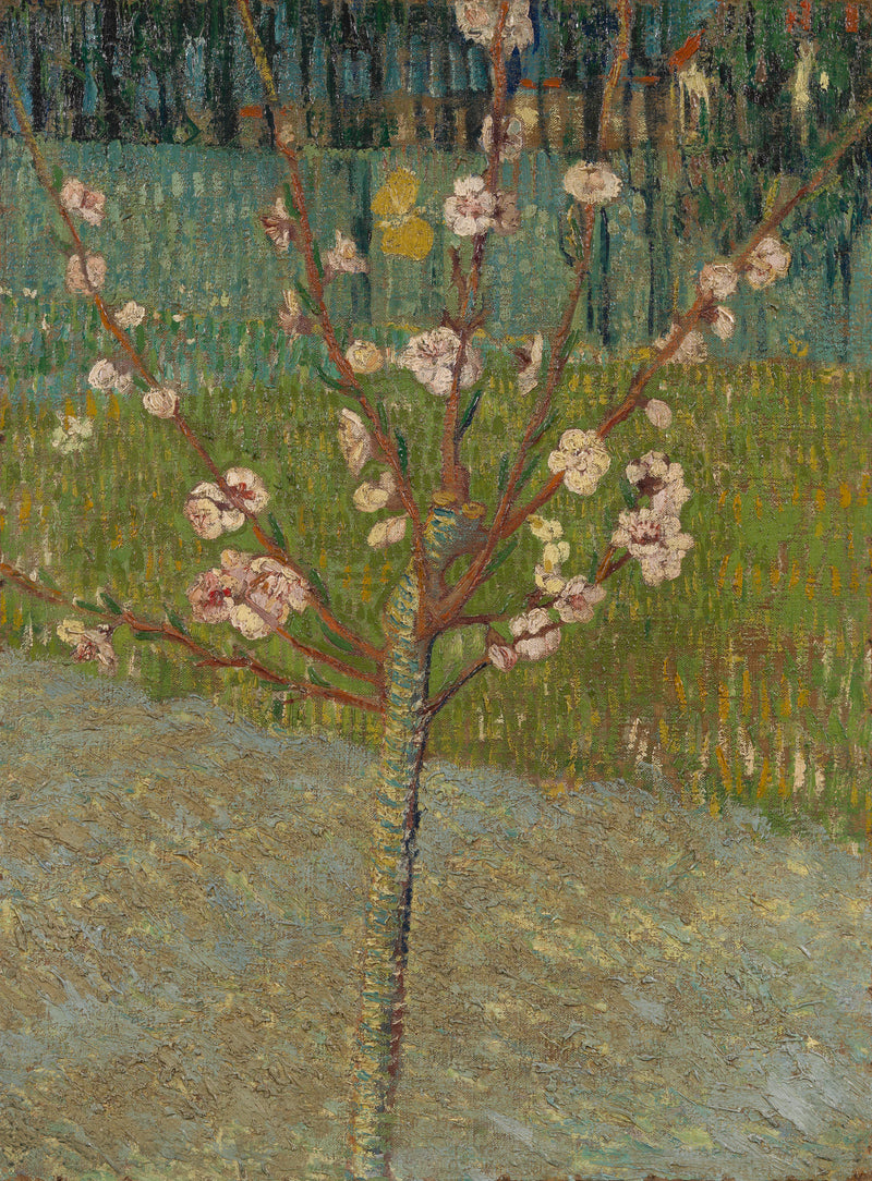 Vissen in bloei - Vincent van Gogh