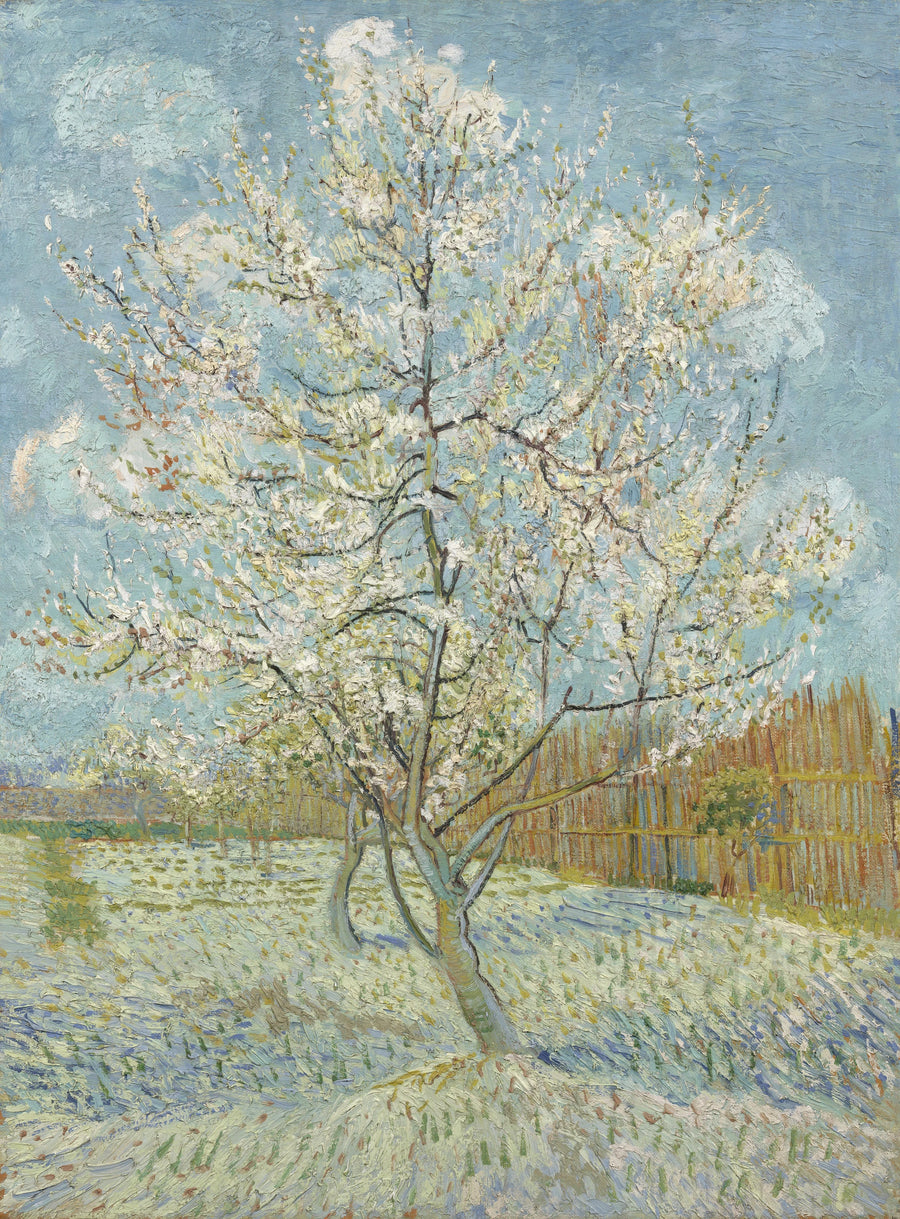 De roze perzikboom - Vincent van Gogh