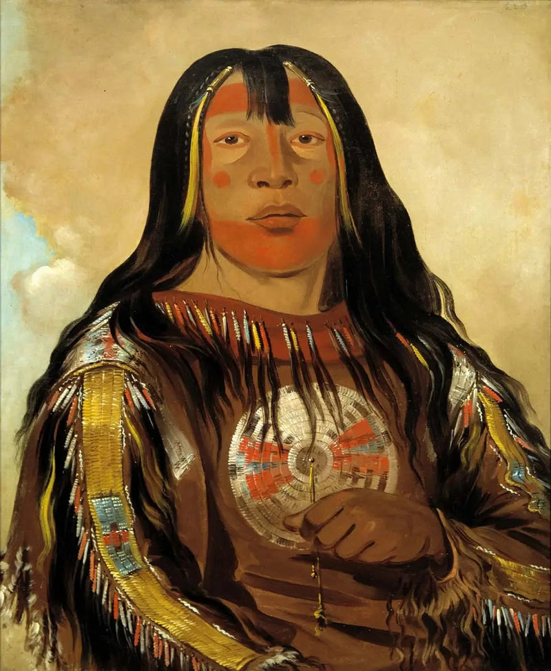 Peh-tó-pe-kiss, Côtes d'Aigle, een chef Piegan - George Catlin

Source:
Peh-tó-pe-kiss, Côtes d'Aigle, un chef Piegan - George Catlin