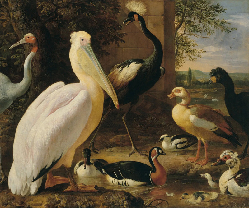 Pelikan, kroonreiger, hocco, antigone-reiger en eenden in een rivierlandschap - Melchior de Hondecoeter