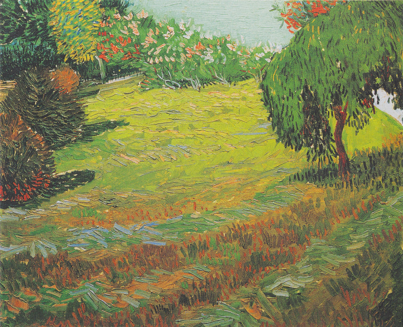 Zonovergoten gazon in een openbaar park - Vincent van Gogh