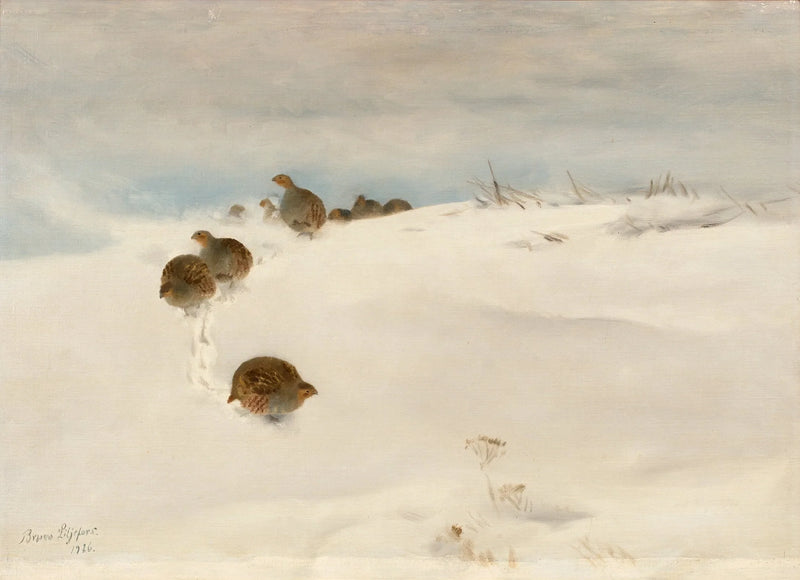 Perdrix grises dans un paysage hivernal - Bruno Liljefors