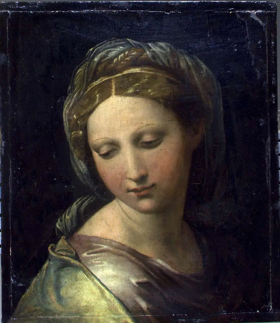 Parels van Modena - Raphael Sanzio