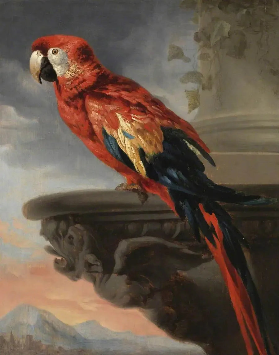 Papegaai - Peter Paul Rubens