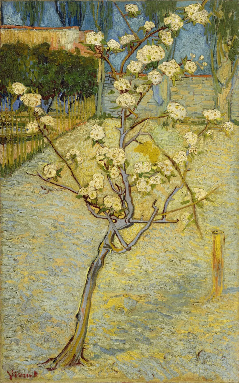 Kleine bloeiende perenboom - Vincent van Gogh