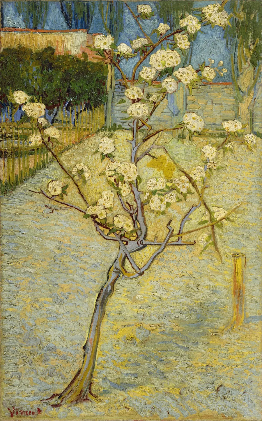 Kleine bloeiende perenboom - Vincent van Gogh