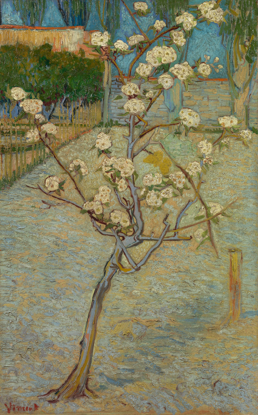 Kleine bloeiende perenboom - Vincent van Gogh