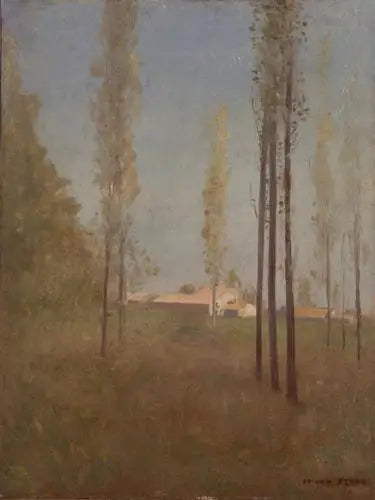 Peupliers à Peyrelebade - Odilon Redon