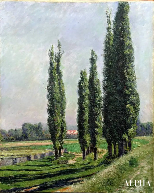 Peupliers au bord de la rivière à Argenteuil - Caillebotte - Reproductions de tableaux et peintures haut de gamme