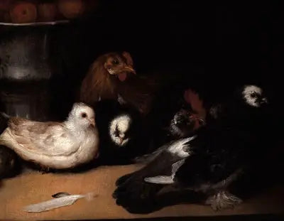 Duiven en gevogelte - Francisco de Goya