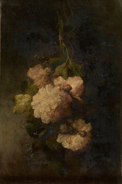 Pivoines – Margaretha Roosenboom