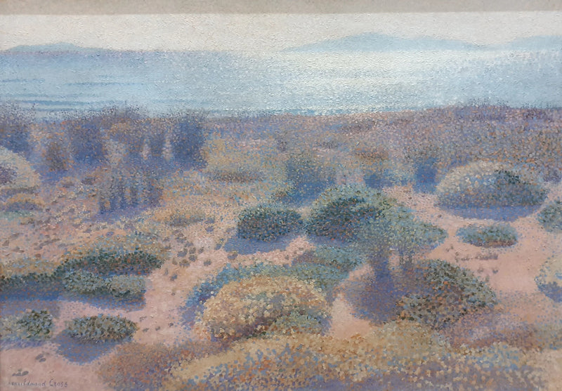 Strand van la Vignasse, de Gouden Eilanden - Henri-Edmond Cross
