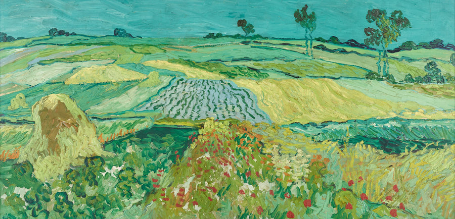 De vlakte van Auvers - Vincent van Gogh