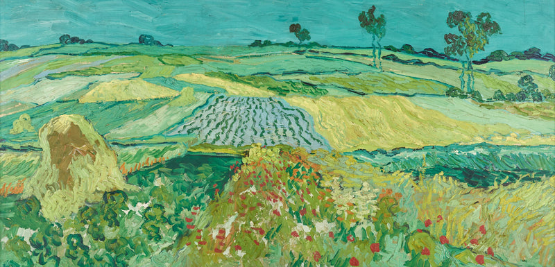 De vlakte van Auvers - Vincent van Gogh