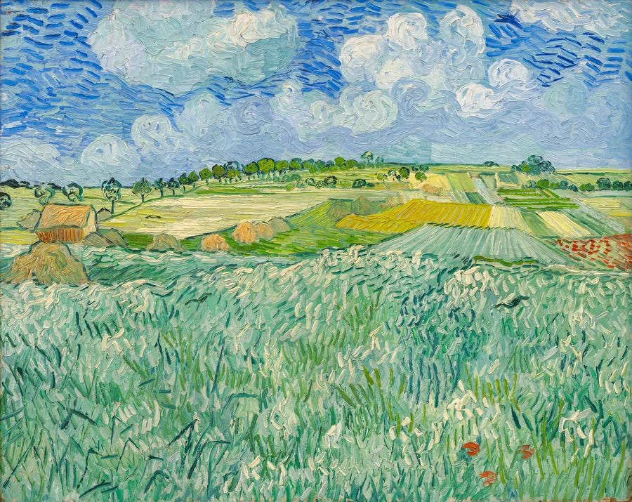 Veld nabij Auvers - Vincent van Gogh