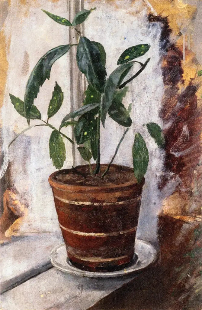 Potplant op de vensterbank - Edvard Munch