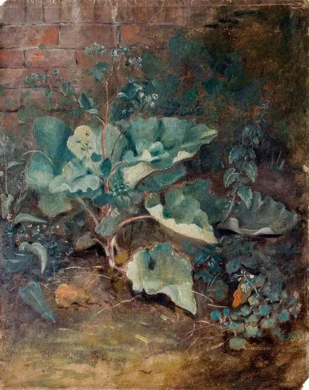 Planten die groeien bij een muur - John Constable