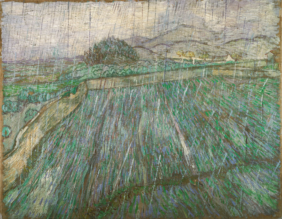Nat veld onder de regen - Vincent van Gogh
