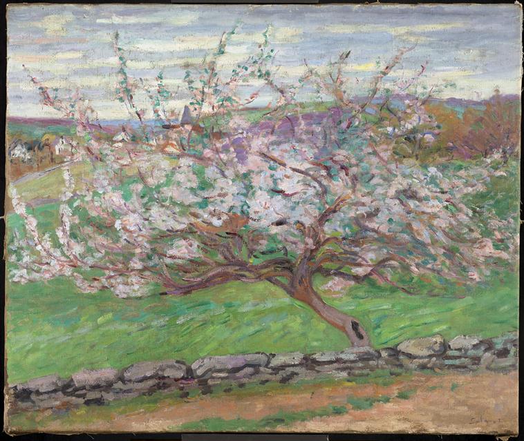 Bomen in bloei - Armand Guillaumin