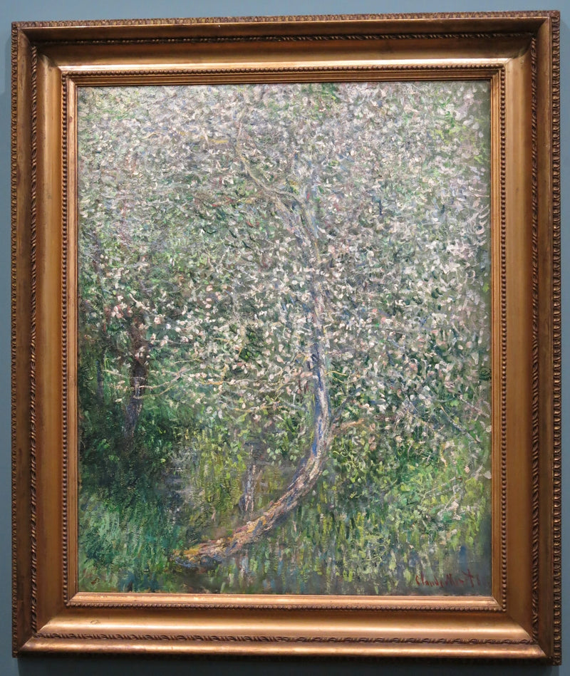 Appelboom in bloei aan het water W585 - Claude Monet