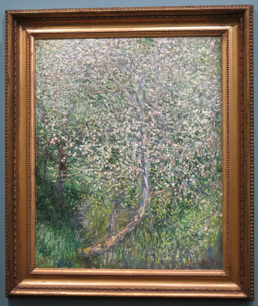 Appelboom in bloei aan het water W585 - Claude Monet
