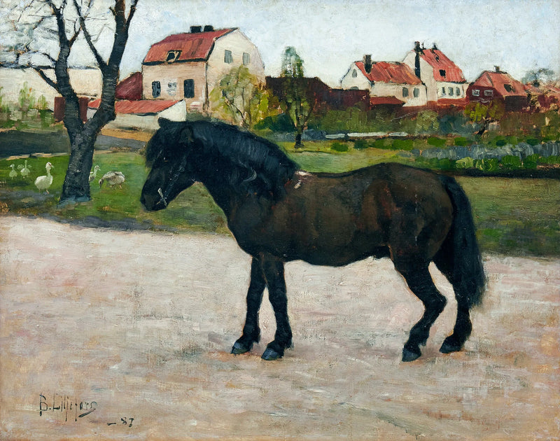 Poney noir - Bruno Liljefors