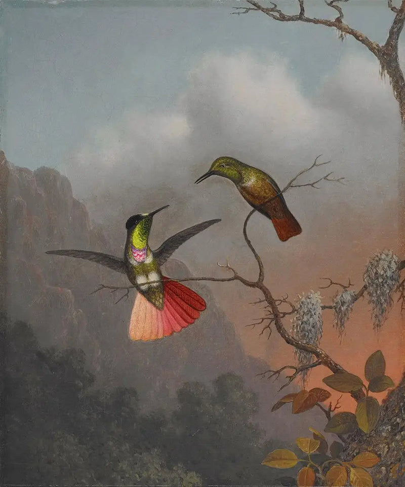 Capuchelensdrager met vizier - Martin Johnson Heade

Source:
Porteur de visière à capuche - Martin Johnson Heade